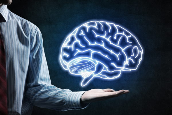 行動経済学,脳のクセ